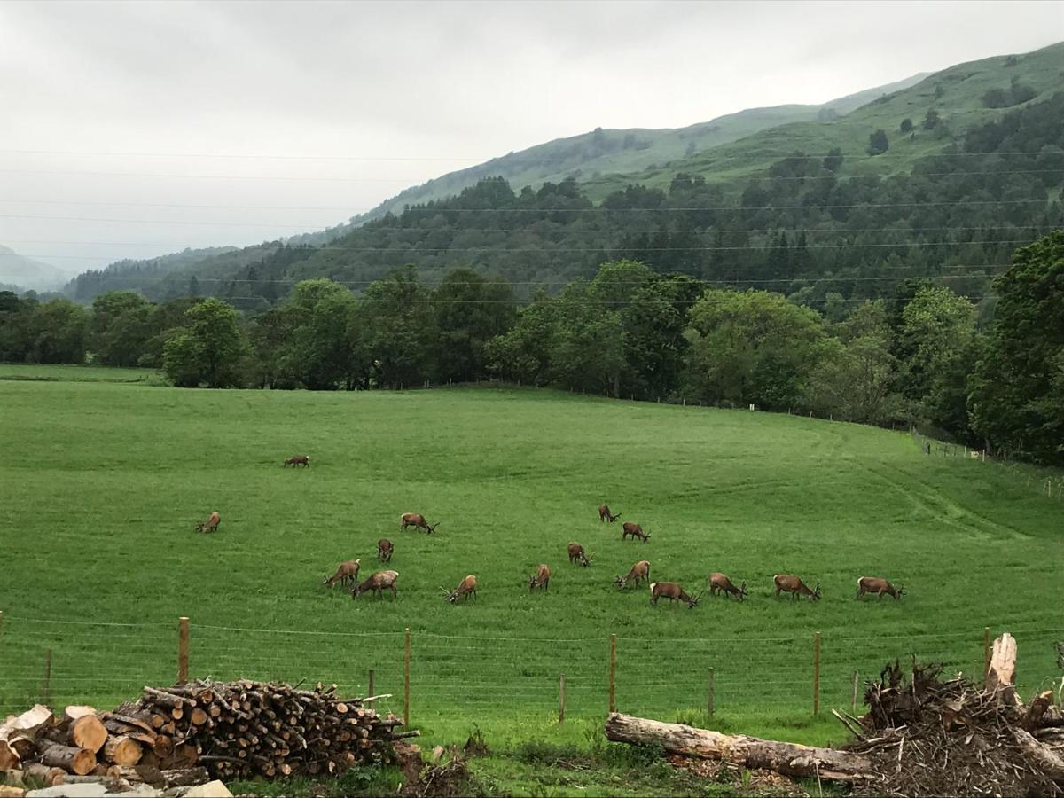 Lochay Lodges Killin Eksteriør bilde